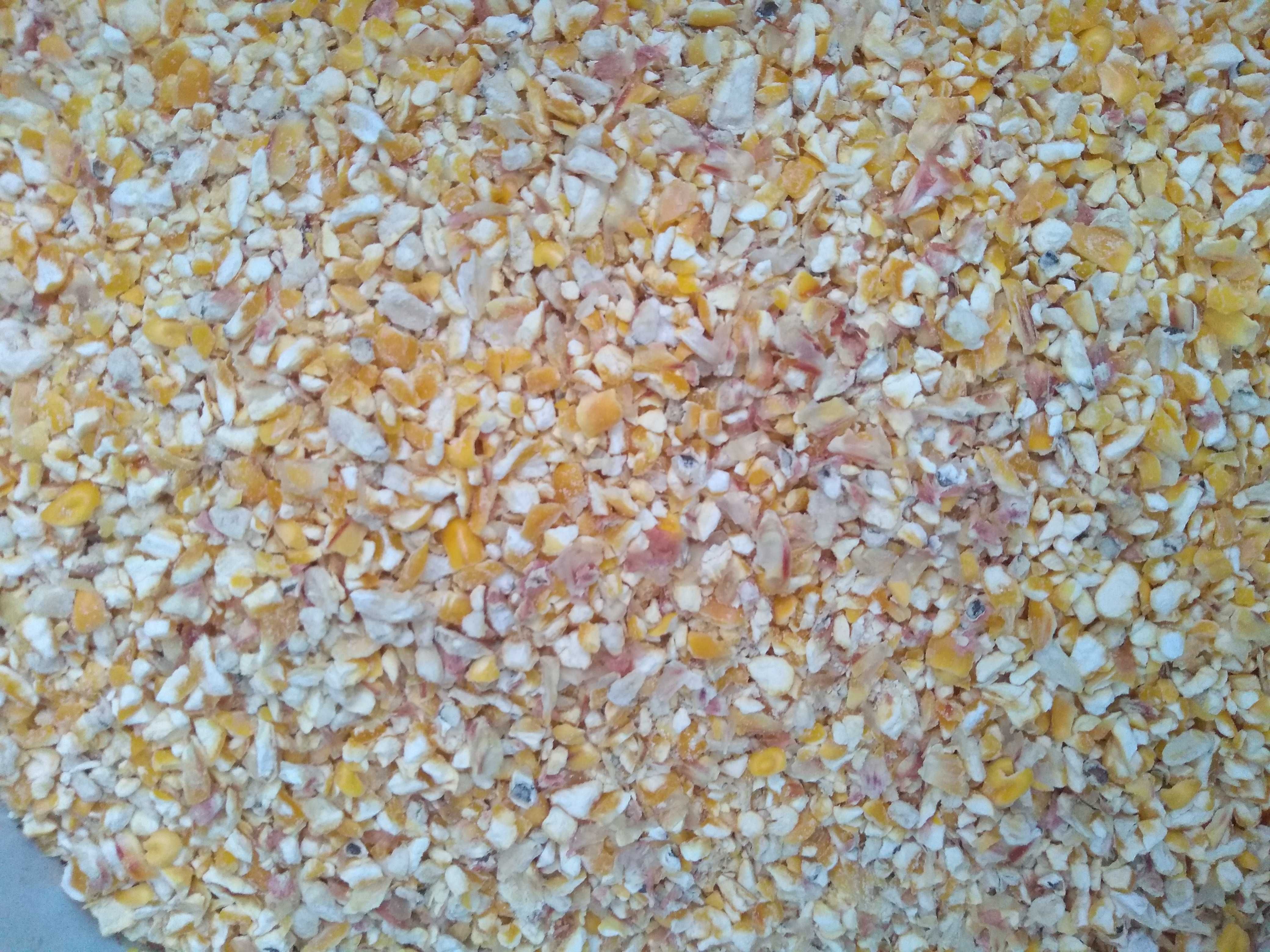 Śrutowana kukurydza,śruta kukurydziana 50 kg. Wysyłka do paczkomatu