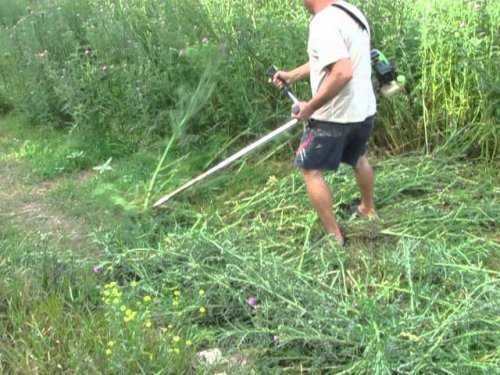 Спилим, обрежем, кронируем, удалим деревья. Вывоз ветки