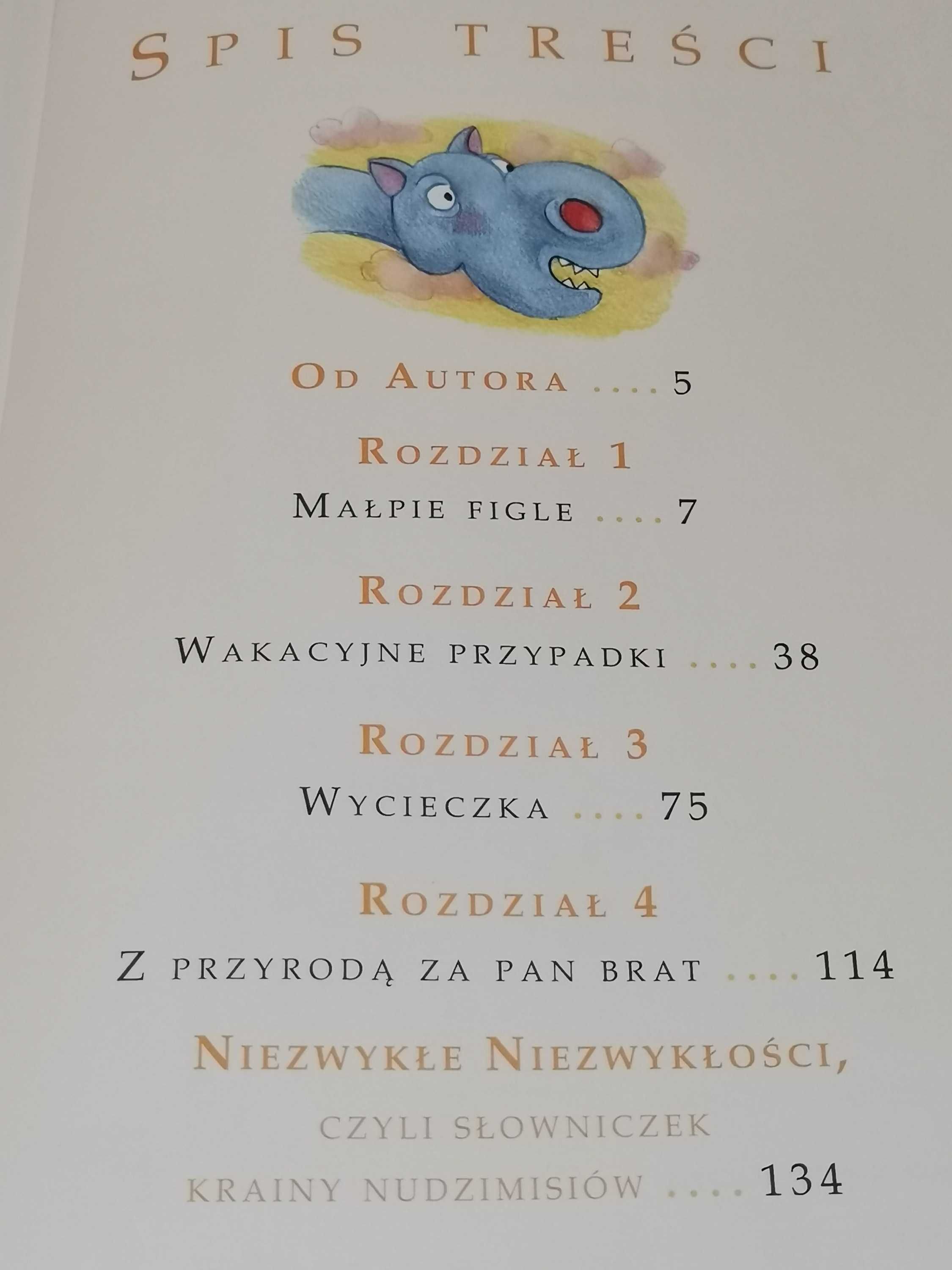 Książka - "Nudzimisie na wakacjach"- Rafał Klimczak