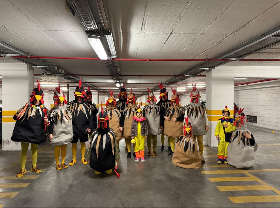 Fato de carnaval, Galinhas e Galos