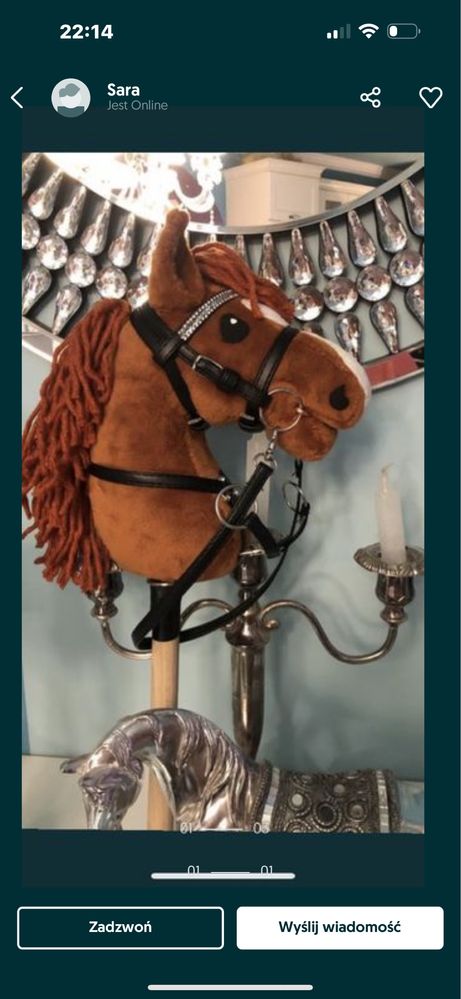 Hobby horse rudy