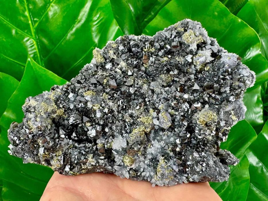 Niesamowity sfaleryt z chalkopirytem i kwarcem