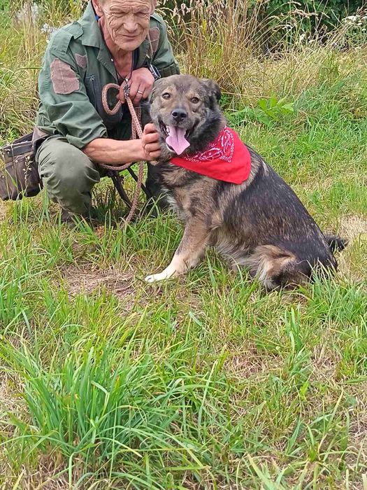 Віддам в добрі руки