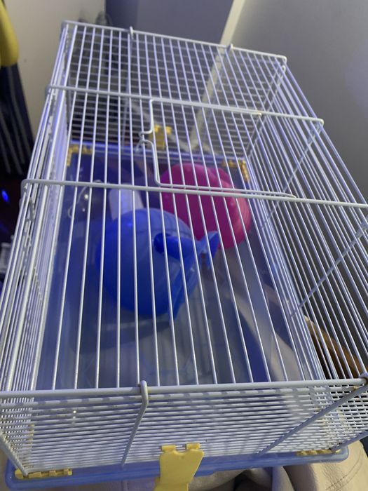 Gaiola para hamsters