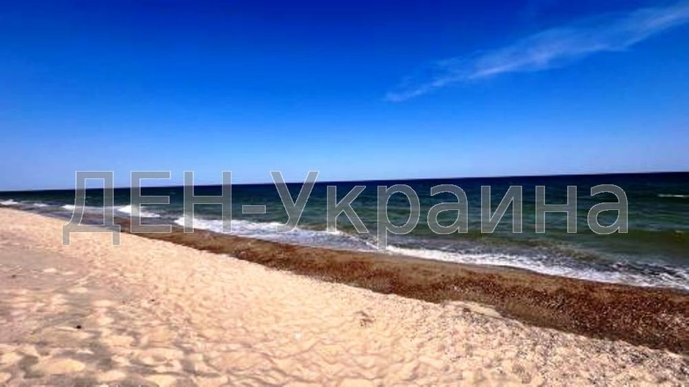 Земельна ділянка біля чорного моря, Кароліно-Бугаз - Затока