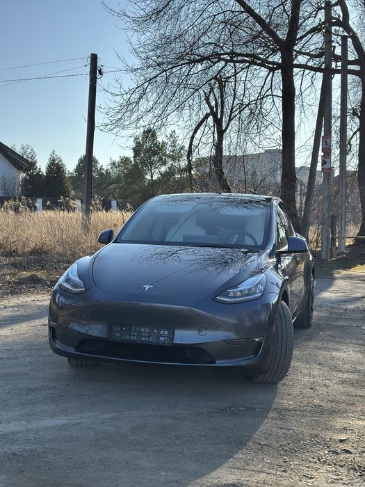 Tesla Y 2021/2022рік