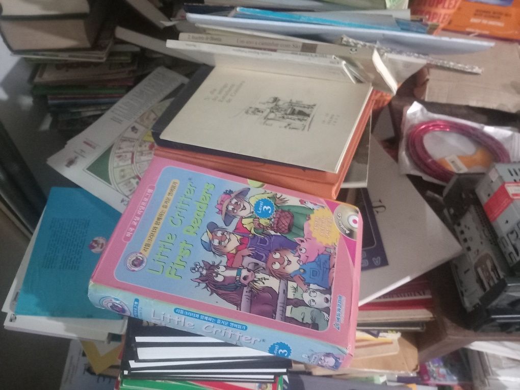 Lote de livros  2.000