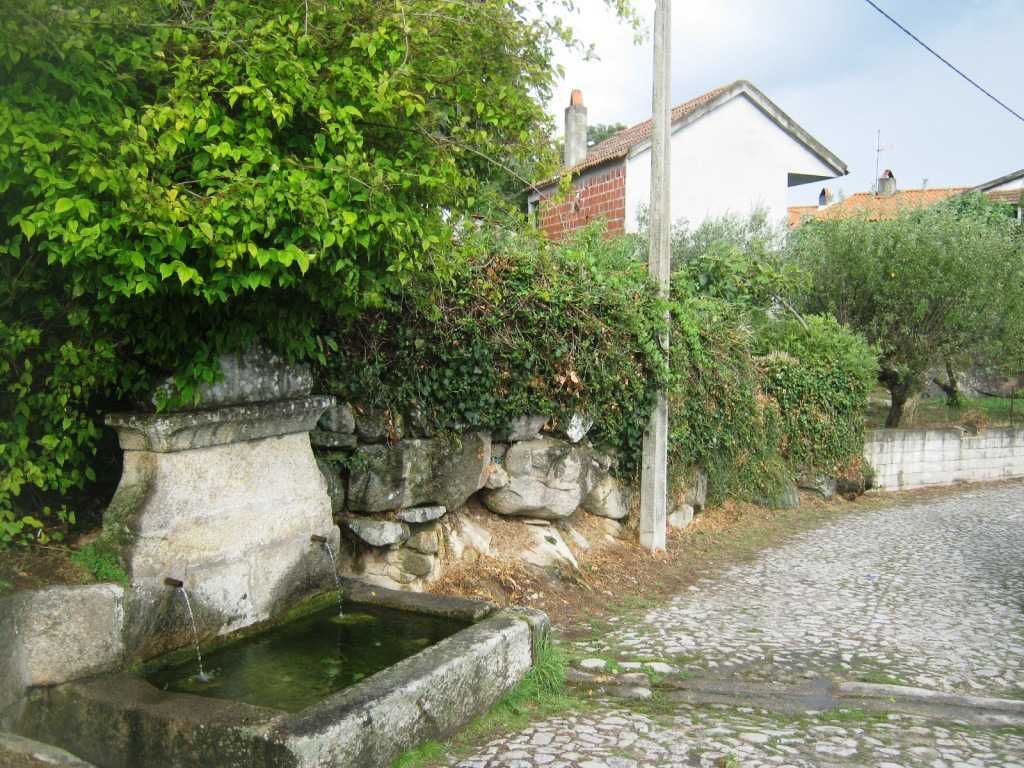 Quintinha,regiao de Valpaços