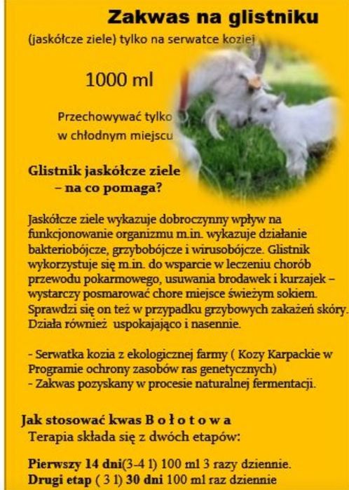 1l zakwas Bołotowa wg Barbary Kazana.kozia serwatka I świeży glistnik