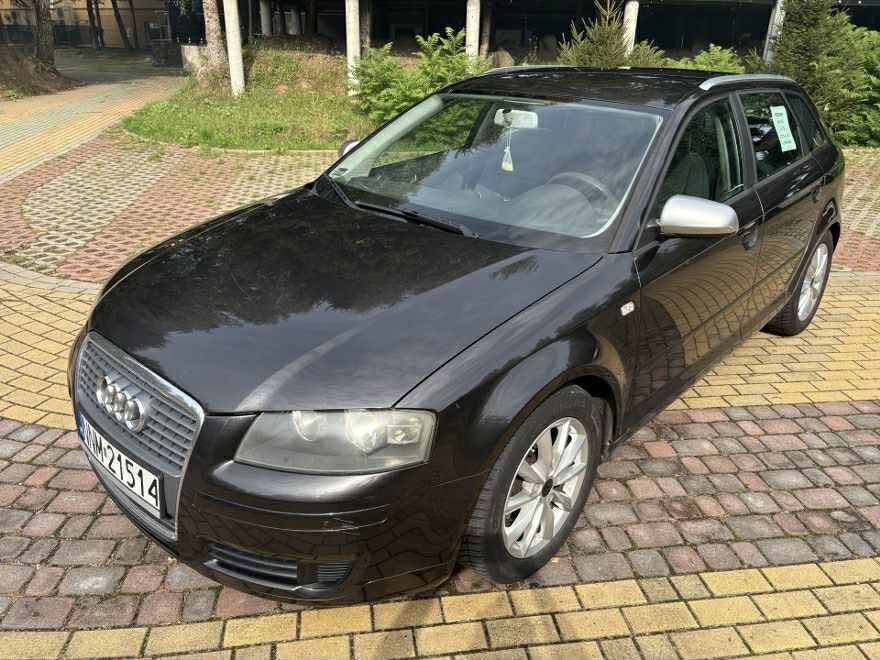 Audi A3 P8 2007r