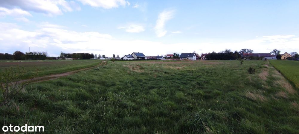 Duża działka w Białej k. Chojnów rolno- budowlana