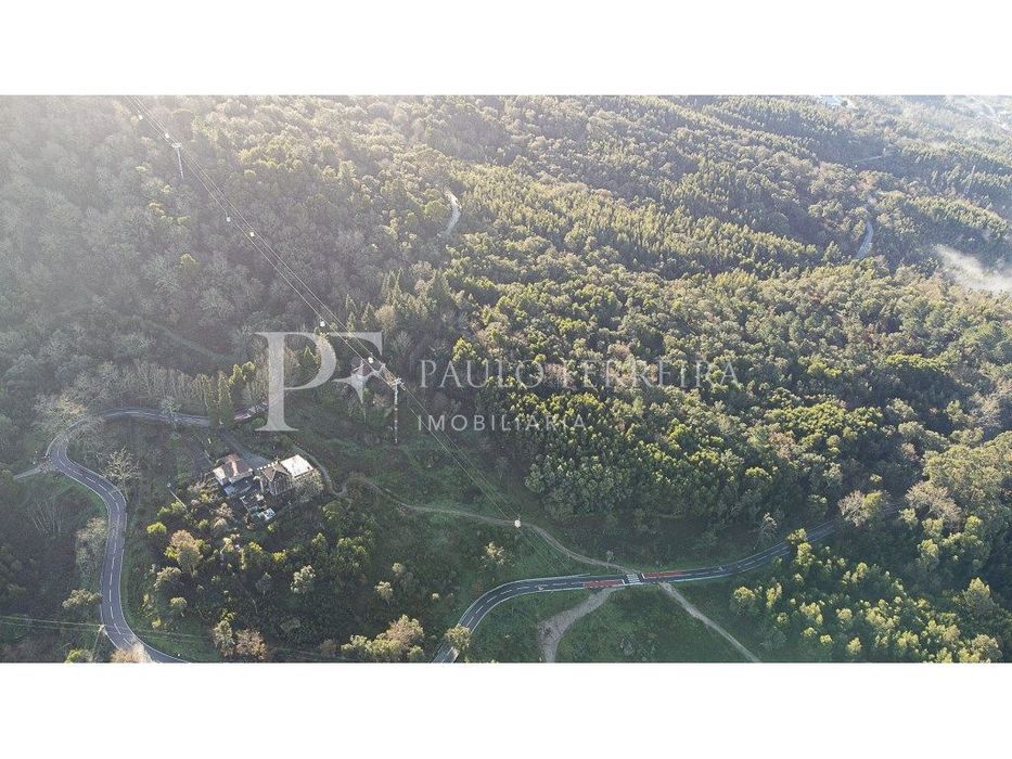 Quinta na Encosta da Penha