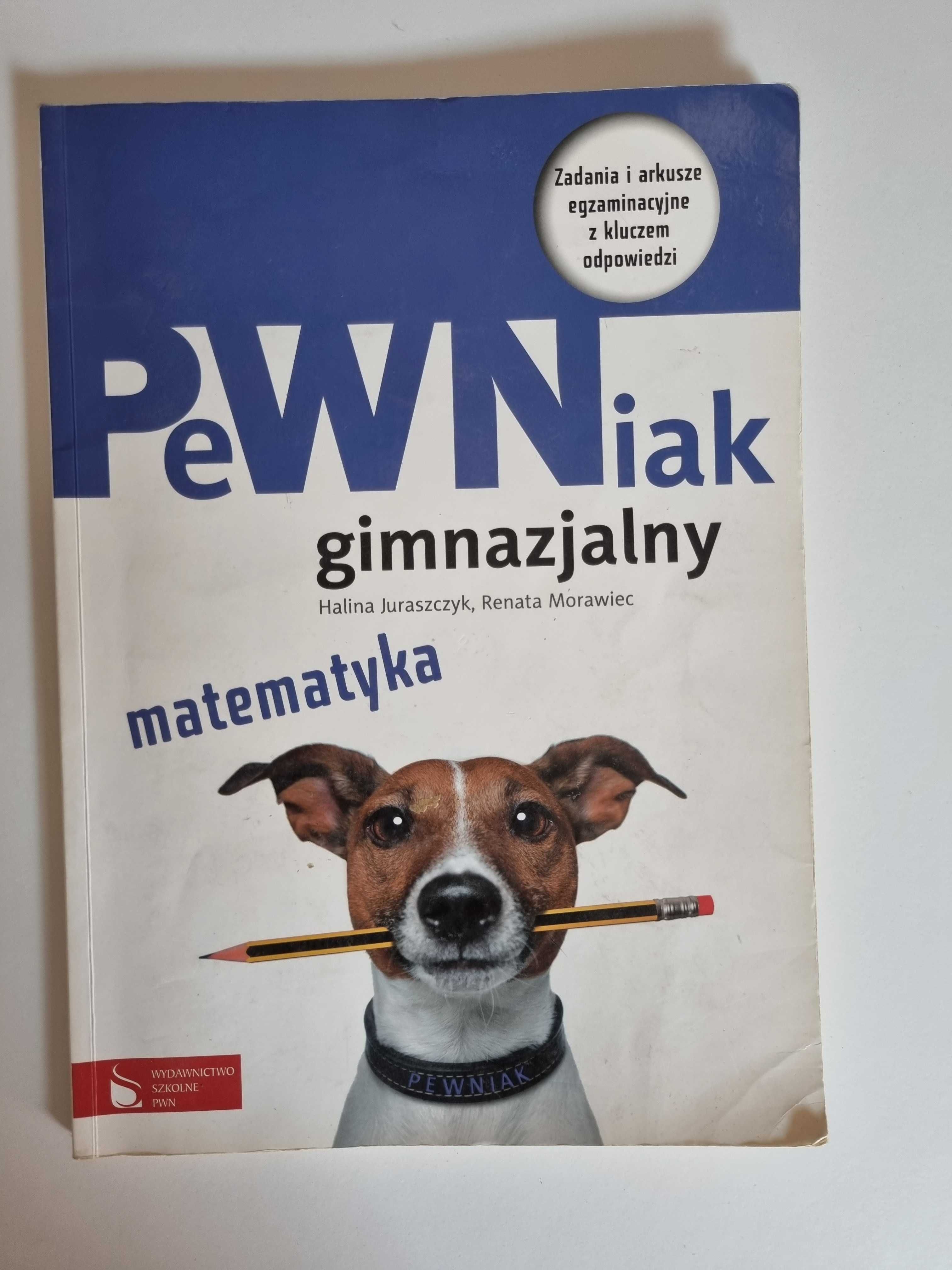 Pewniak gimnazjalny - matematyka