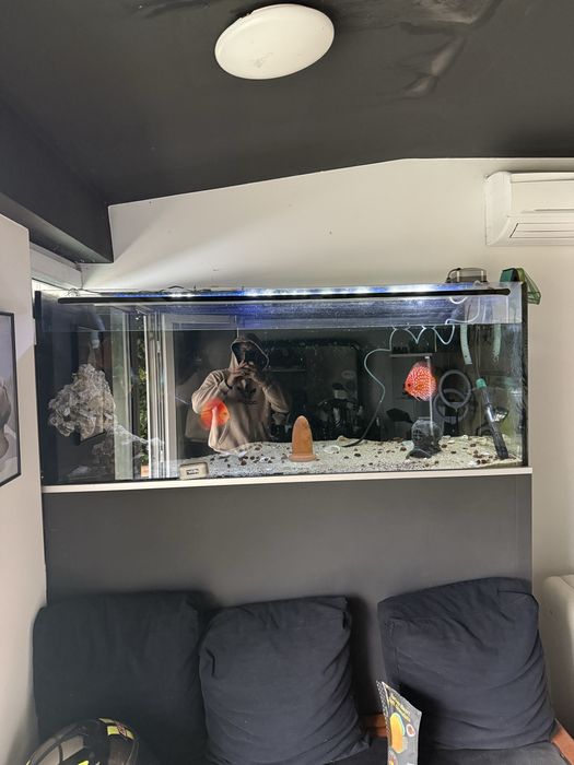 Aquario 450L 150x60x50