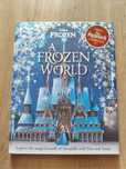 Książka anglojęzyczna "A Frozen World"