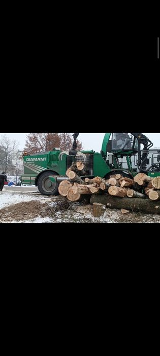 Wycinka drzew trudnych metodą alpinistyczną, czyszczenie działek