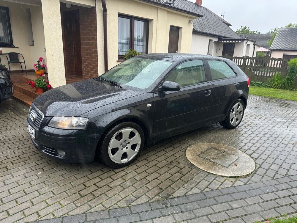 Audi A3 8P 1.9 TDI Polecam