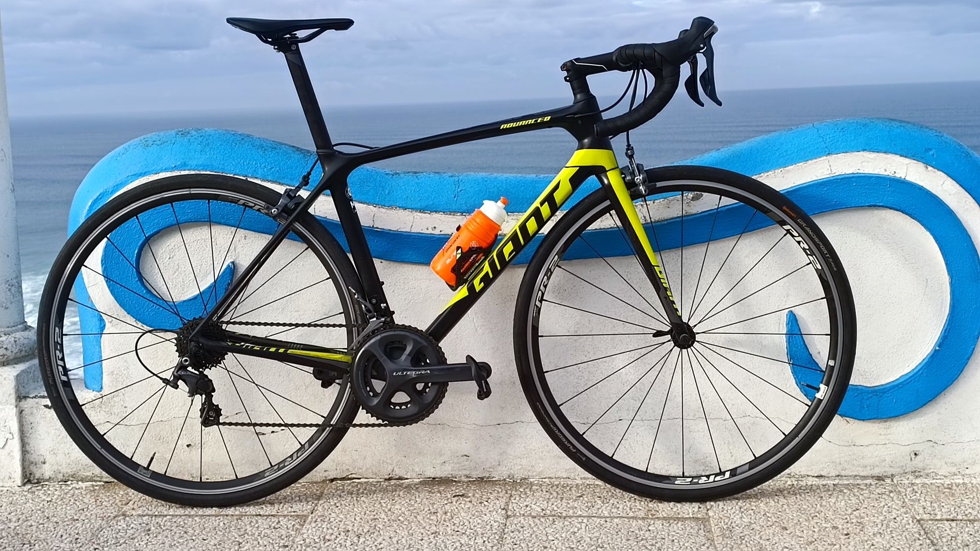 Bicicleta Giant TCR Advanced