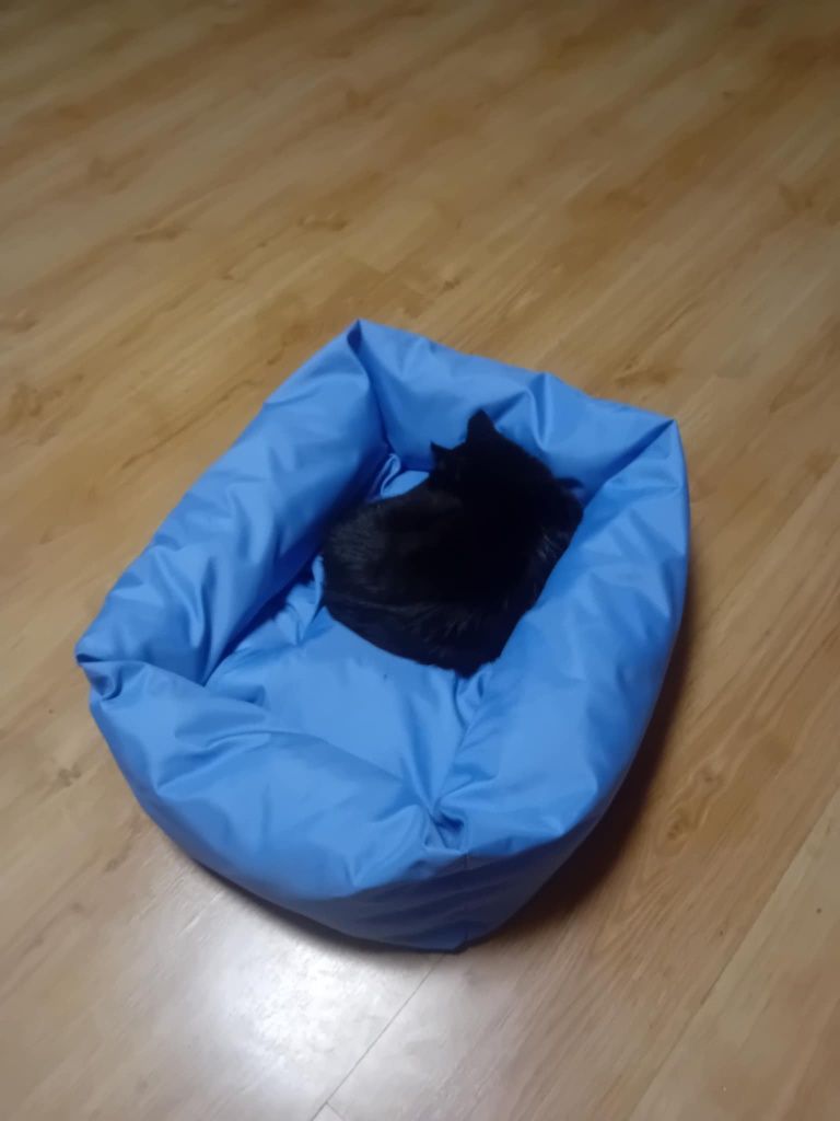 Niebieskie legowisko dla kota psa poduszka wodoodporne handmade
