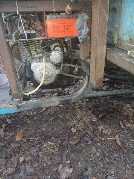 Муравей 150 кб