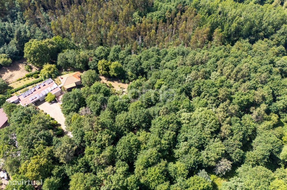 Quinta de Turismo Rural T6, Santa Comba Dão, Viseu