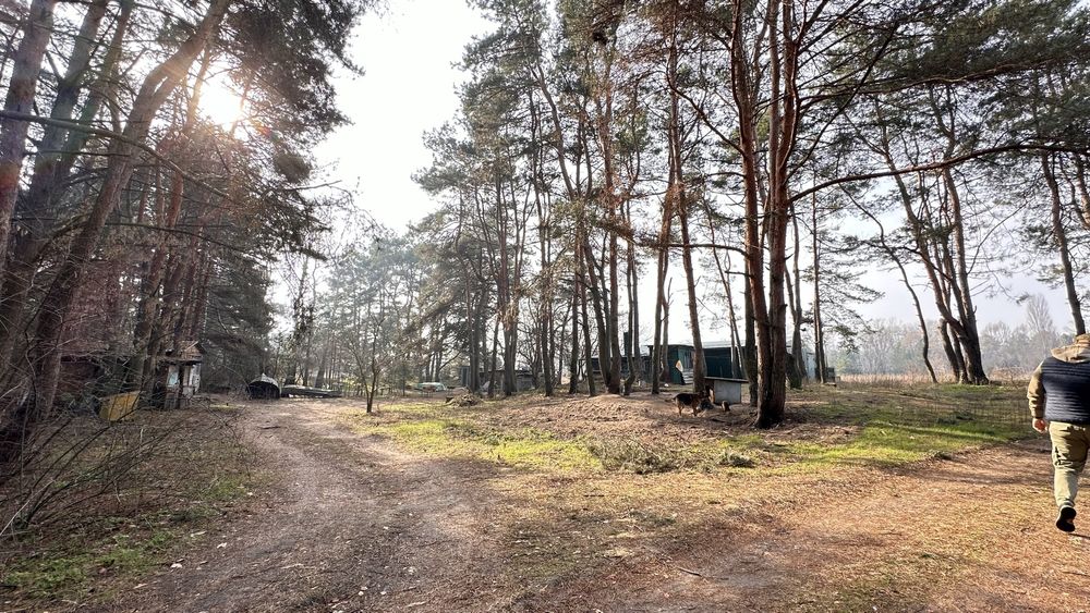 Земельна ділянка під базу відпочинку