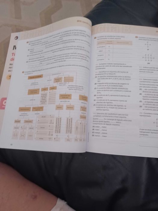 Livro fichas 10° ano Química