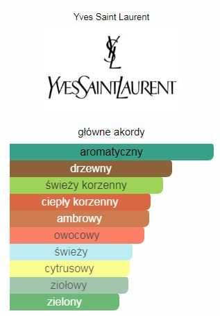 Yves Saint Laurent Y Eau  de Parfum 100 ml  woda perfum Folia Oryginał