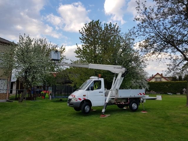 Zwyżka kraków, podnośnik koszowy,wycinka drzew, wynajem podnośnika