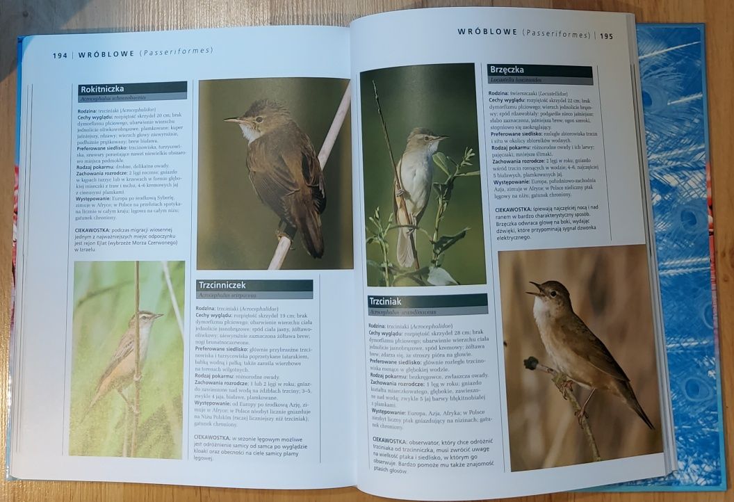 Ornitologia Ptaki Atlas Kulturalny atlas Kruszona kpl 2 *