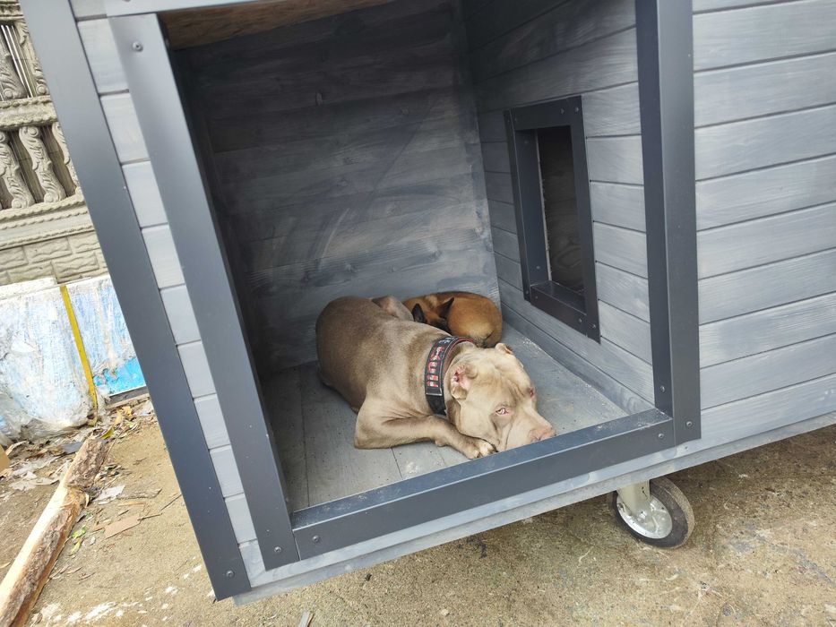 Solidna buda XXL dla dużego psa!!!Nowofunlad Bernardyn Kaukaz okienko