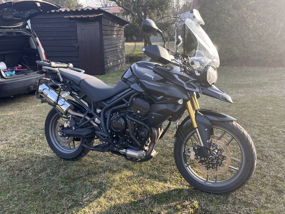 triumph toger 800
