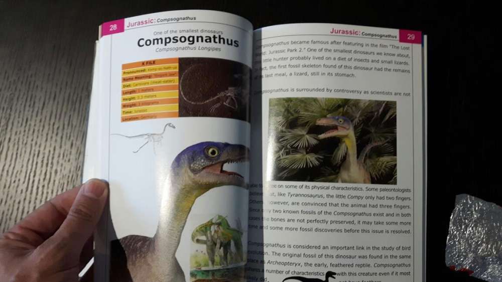 Dinossauros livro/ jogo dinossauro