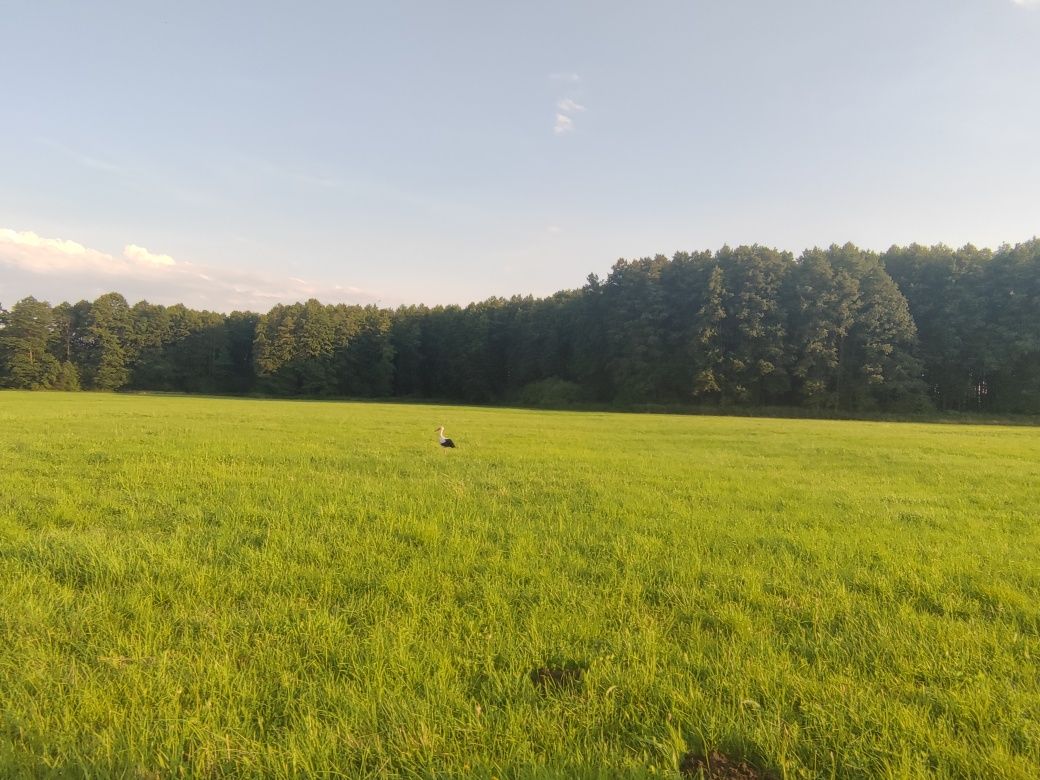 Dom 140 m2,  jacuzzi, rzeka, sauna, balia, mazowieckie, weekend