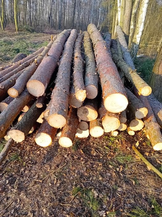 Drewno opałowe,  w wałkach sosna brzoza olcha