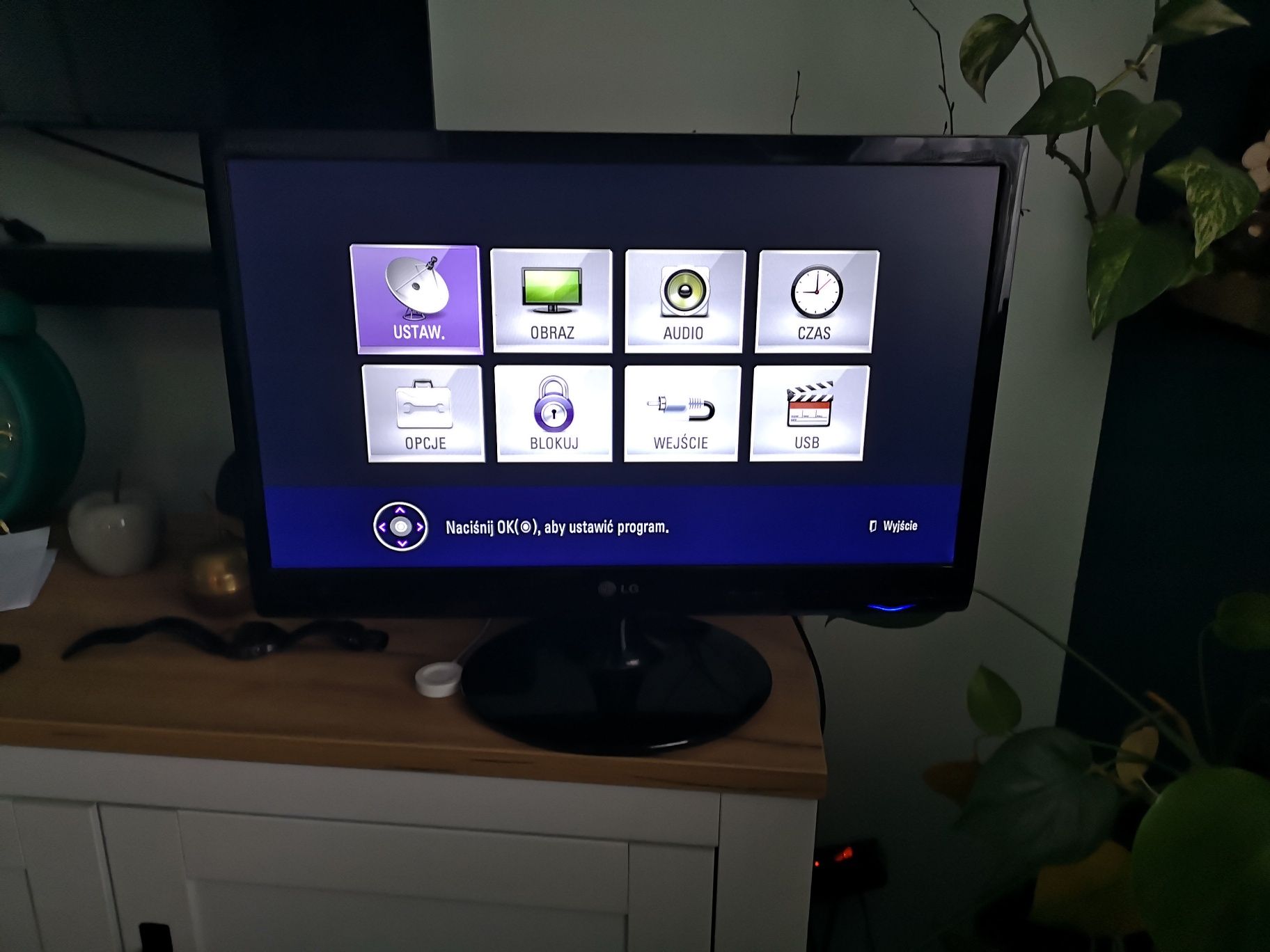 Telewizor Monitor LG