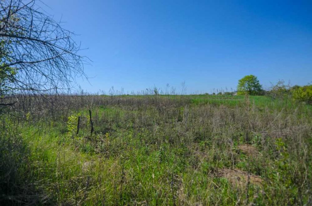 Земельна ділянка в Петрівці