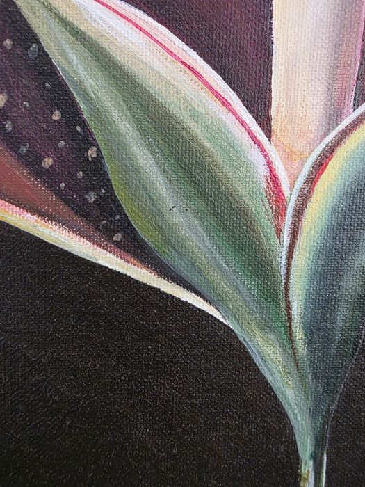 Obraz 65×90
wymiary: 50×70 cm
Akryl, płótno