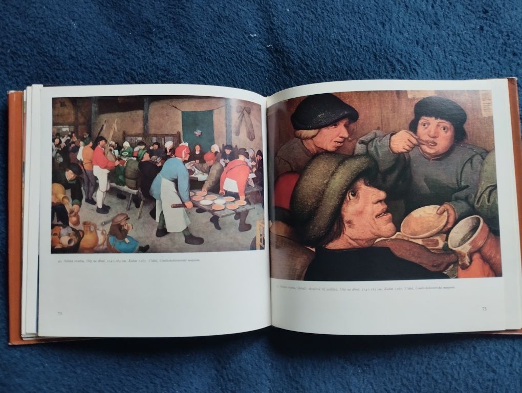 Pieter Bruegel. Album o sztuce