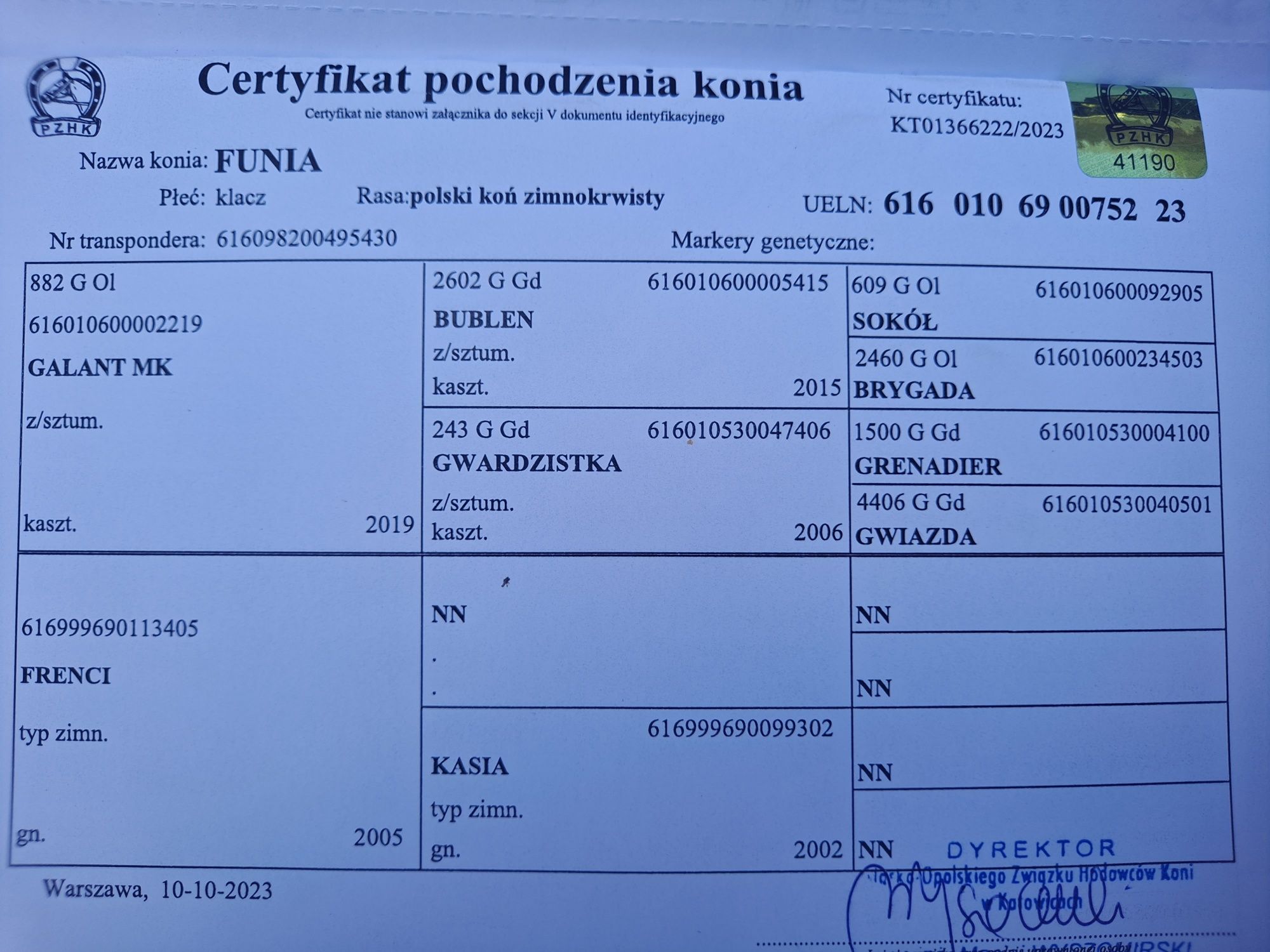 Sprzedam klacz zimnokrwistą