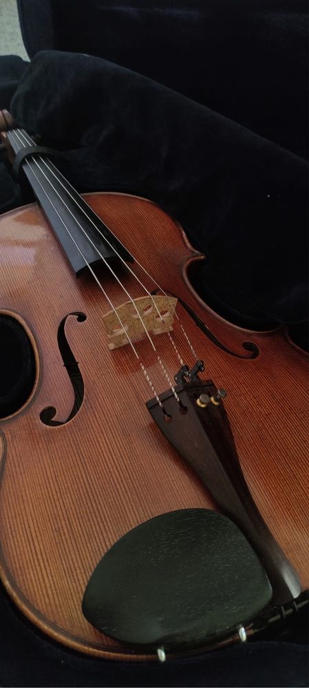 Viola d’arco Jan Pawlikowski