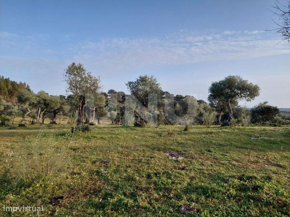Terreno Rústico com 6750m2 para Venda na Lousa