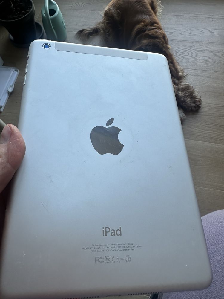 IPad 2 mini wraz z pudelkiem i etui