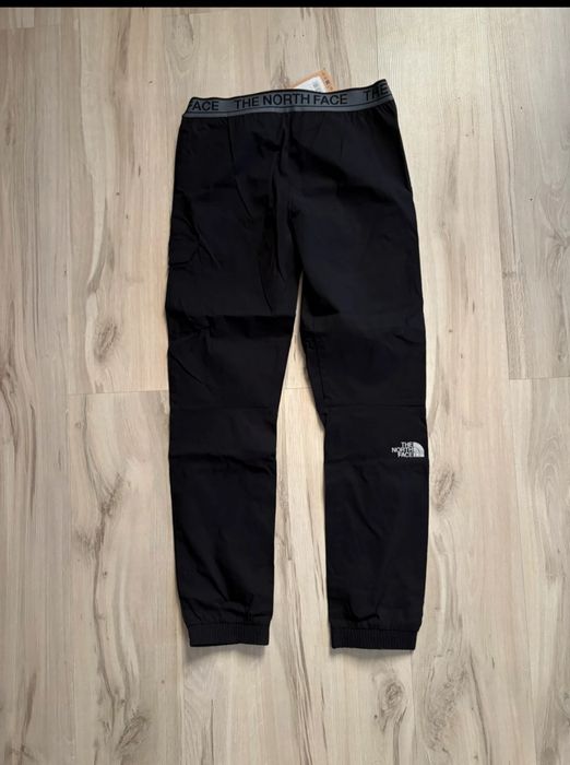 Spodnie męskie The north face