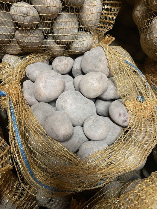 Sprzedam ziemniaki Irga