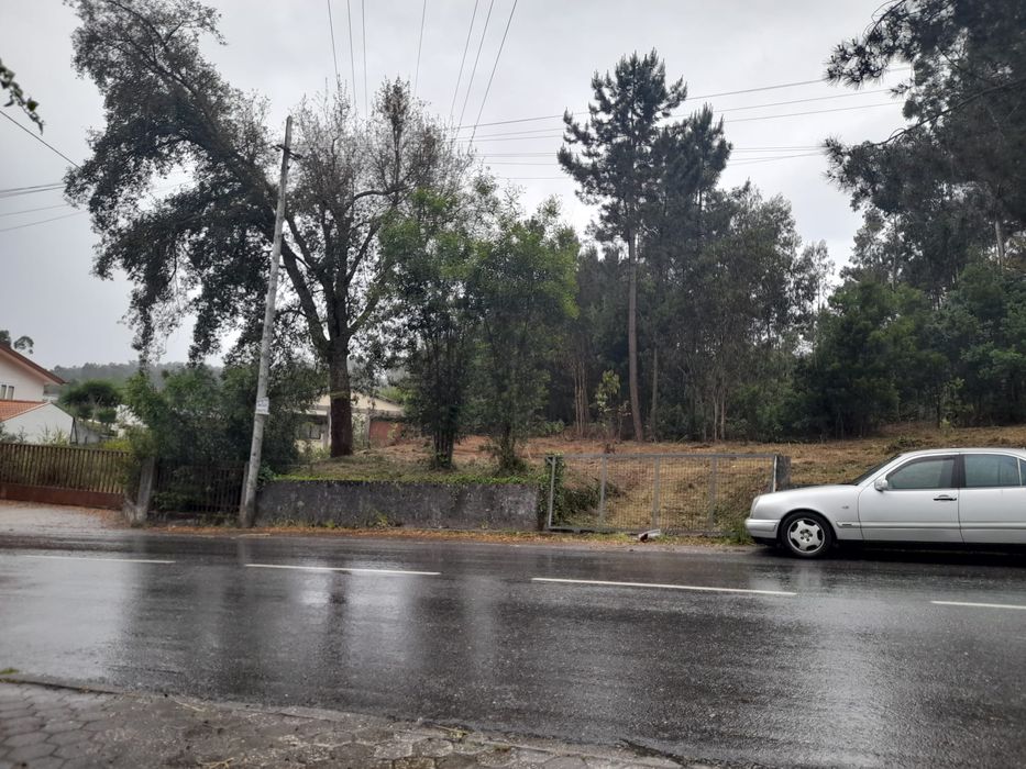 Terreno Caldas S. Jorge