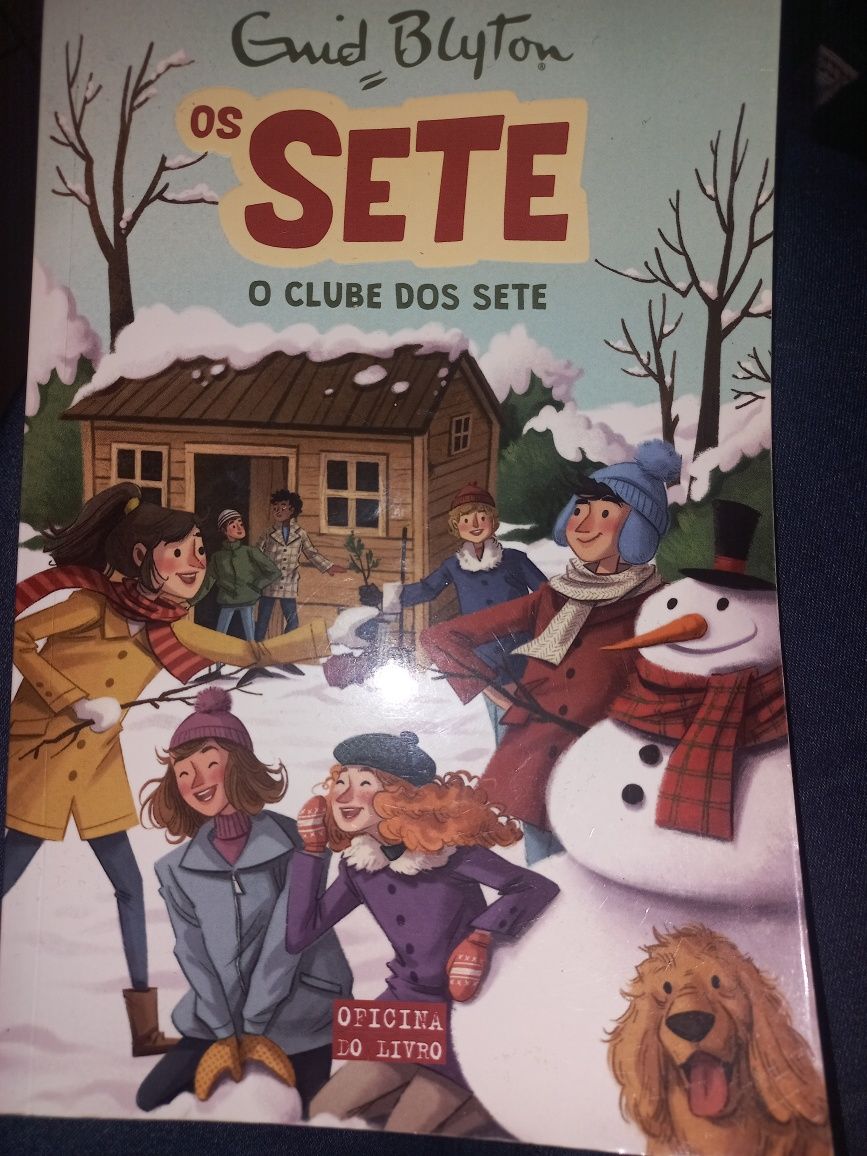 Enid Blyton O clube dos sete