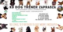Szkolenie psów & Trener Psów & Behawiorastyka