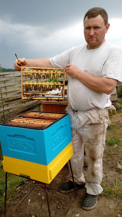 Odkłady pszczele i Matki pszczele na 2023 rok