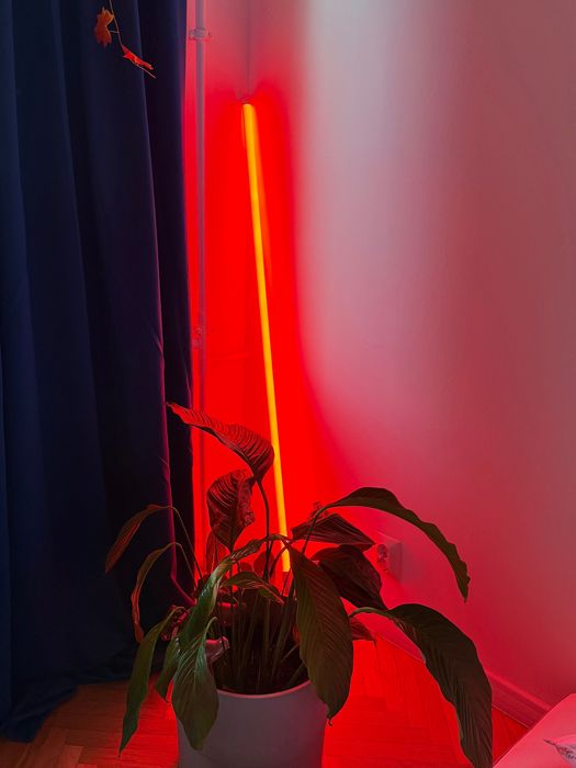 HAY lampa ledowa Neon Tube 2,5 x 150 cm kolor czerwony
